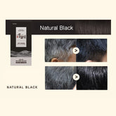 Seedbee Water Coloring Hair Dye Gray Hair Coverage - Natural Black